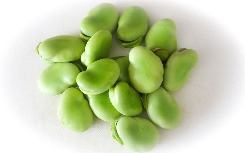 Fava Bean Soy Sauce from Shodoshima: A Perfect Choice for Coeliac Disease and Soy Allergies