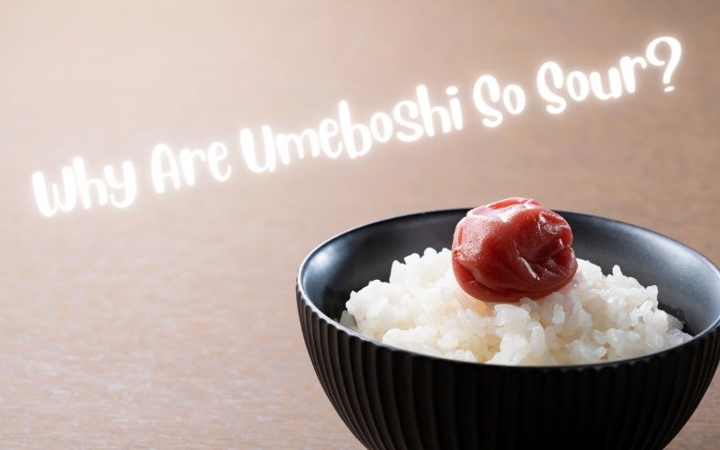 Why Are Umeboshi So Sour?